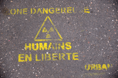 Cliquez sur la vignette pour l'agrandir